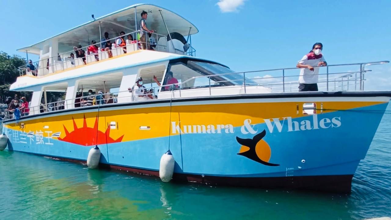 Package Whale Watching Mirissa Sri Lanka – kumara And Whales